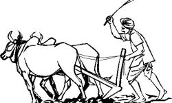 एग्री सेन्टरद्वारा झापाका किसानलाई परिचयपत्र