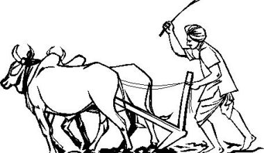 एग्री सेन्टरद्वारा झापाका किसानलाई परिचयपत्र