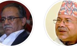 केन्द्रीय सदस्यहरूलाई तयारी अवस्थामा रहन प्रचण्ड-माधव समूहको निर्देशन