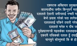 दलालकारिताको जय होस्