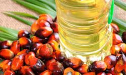 पाम आयल आयात बन्द भएपछि नेपाली उद्योग धराशायी हुँदै