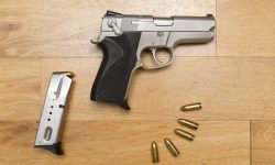 सर्लाहीमा हतियार सहित एक व्यक्ति पक्राउ