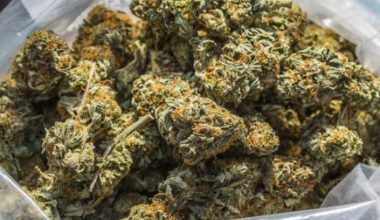 प्रहरीद्वारा एक सय किलो अवैध लागूऔषध गाँजा बरामद