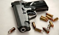 दक्षिणी क्यालिफोर्नियामा गोली चल्दा कम्तीमा आठ जना घाइते