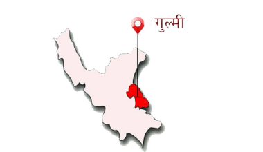 गुल्मीमा रोकिएनन् आपराधिक क्रियाकलाप