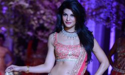 सम्पत्ति शुद्धीकरण मुद्दामा बलिउड अभिनेत्री ज्याकलिन फर्नान्डिजले पाइन् जमानत