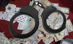 एकैदिन भक्तपुरबाट २४ जुवाडे पक्राउ