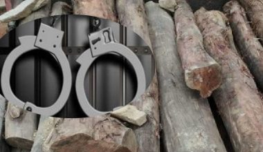 अवैधरूपमा काठ ओसारपसारमा संलग्न सातजना पक्राउ