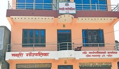 धानबालीको बिमा गर्दै गाउँपालिका