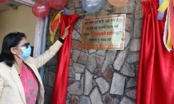 पुँजीको विकास गर्न सबै मान्छे श्रममा अनिवार्य रुपमा जोडिनुपर्छ : मन्त्री अर्याल