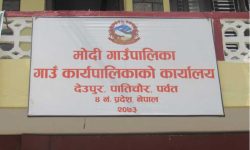 मोदी गाउँपालिकाले बनायो आफ्नै लोगो