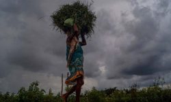 आगामी तीन दिन वर्षा र हिमपातको सम्भावना