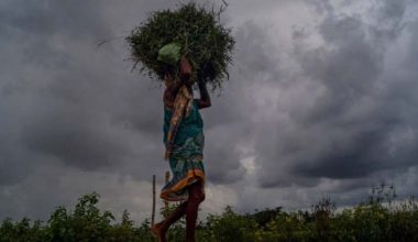 आगामी तीन दिन वर्षा र हिमपातको सम्भावना