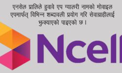 एनसेलको ठगी प्रकरण : अर्बौं बढी आम्दानी