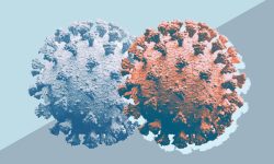 काेराेना नियन्त्रण नहुँदै नाकामा भारत जानेको भीड