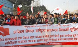 केपी ओलीको समर्थनमा अनेरास्ववियूको शक्ति प्रदर्शन