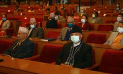 राष्ट्रियसभामा विचाराधीन विद्युत् विधेयक फिर्ता