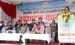 मन्त्री अर्यालद्वारा कलंकी कृषि बजारको उद्घाटन