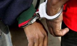 आखेटोपहारसहित दुईजना पक्राउ