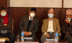 केन्द्रीय सदस्यहरुको नागरिकतासहित प्रचण्ड–नेपाल समूह निर्वाचन आयोग जाने