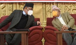 प्रचण्ड–नेपाल समूहको स्थायी कमिटी बैठक बस्दै, आन्दोलनका कार्यक्रम घोषणा गरिने