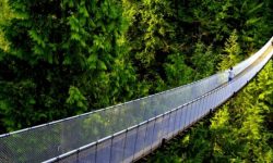 झोलुङ्गे पुलको नामकरण गर्नेलाई  २५ हजार