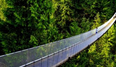 झोलुङ्गे पुलको नामकरण गर्नेलाई  २५ हजार