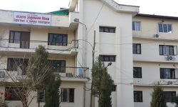 नक्कली भ्याटबिल प्रयोग गरी राजश्व छल्ने १० जना बिरुद्ध मुद्धा दायर