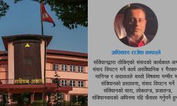 प्रतिनिधिसभा संसदको विघटन संवैधानिक वा असंवैधानिक