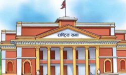 जयसिंहको घटनाबारे सत्यतथ्य बाहिर ल्याउन नसकेको भन्दै सरकारको आलोचना