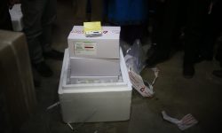 आजदेखि कोरोनाविरुद्धको खोप सातै प्रदेशमा पठाइँदै