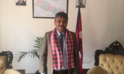 काठमाडौं विश्वविद्यालयको उपकुलपतिमा प्रा.डा थापा नियुक्त