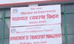 लाइसेन्सको अनलाइन फारम मध्यरातमा भर्न सुझाब