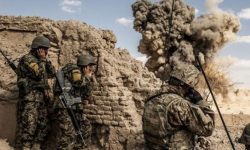 अफगान सेनाको कारबाहीमा १५ लडाकू मारिए