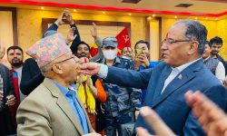 संसद पुनर्स्थापनाको फैसला पछि दाहाल-नेपालद्वारा बधाई साटासाट