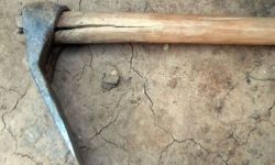 कोदालो प्रहारबाट एकको हत्या, पाँच घाइते