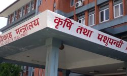 बर्डफ्लु नियन्त्रणका लागि ‘-यापिड रेस्पोन्स टीम’ तयारी अवस्थामा