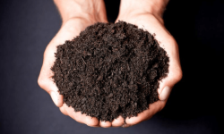 नवौं विश्व माटो दिवस मनाइँदै