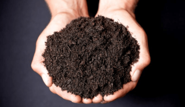 नवौं विश्व माटो दिवस मनाइँदै