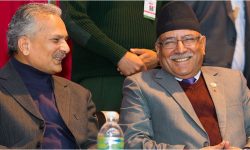 आधार एउटै, धार फरक