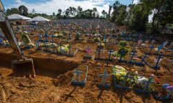 ब्राजिलमा कोरोना भाइरसबाट मृत्यु हुनेको संख्या बढ्दै, २ लाख ४० हजारको निधन