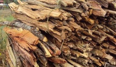 घर खर्च चलाउन हिउँमा दाउरा बिक्री