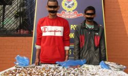 लागू औषध सहित तीन जना समातिए