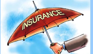 बीमा समितिको निर्देशनमा विवाद : कम्पनीहरूले रोके सरेन्डर प्रक्रिया