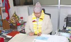 सर्वोच्च अदालतको मुख्य रजिष्ट्रारमा कुँवर नियुक्त