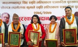 पत्रकारहरुलाई ललितकला पुरस्कार