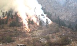 शिकार आरक्षमा आगलागी हुँदा ३० हेक्टर वन नष्ट