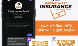 च्याटबटबाट अब शिखर इन्स्योरेन्सका सबै सेवा लिन सकिने