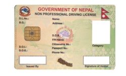 नयाँ चालक अनुमतिपत्रका लागि आवेदन दिनेको सङ्ख्या पाँच लाख नाघ्यो