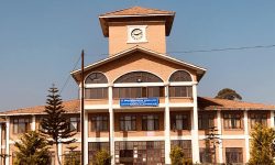 त्रिविका सबै परीक्षा स्थगित